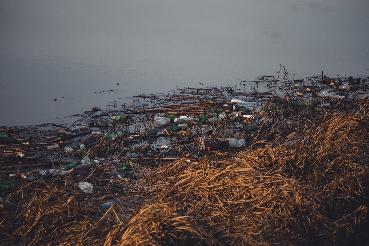 The Impact of Single-Use Plastic on Our Ecosystem